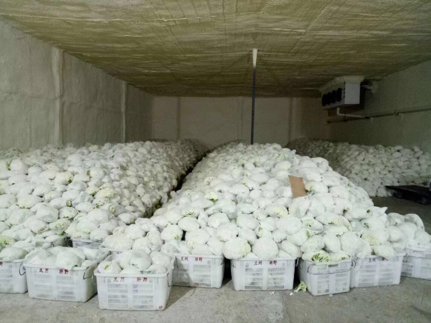 保鲜雷火·官方版网站登录入口_雷火（中国）
